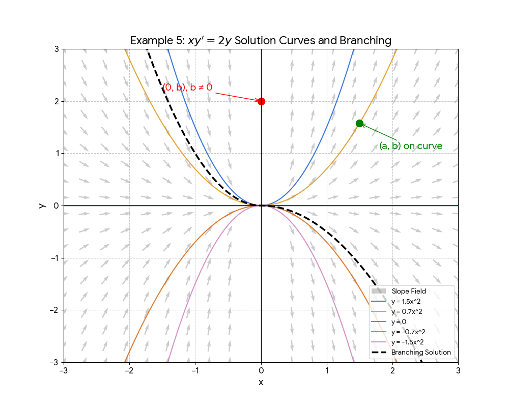 A family of parabolic solution curves y equals Cx squared. All curves pass through the origin (0, 0), illustrating a failure of uniqueness at that point.